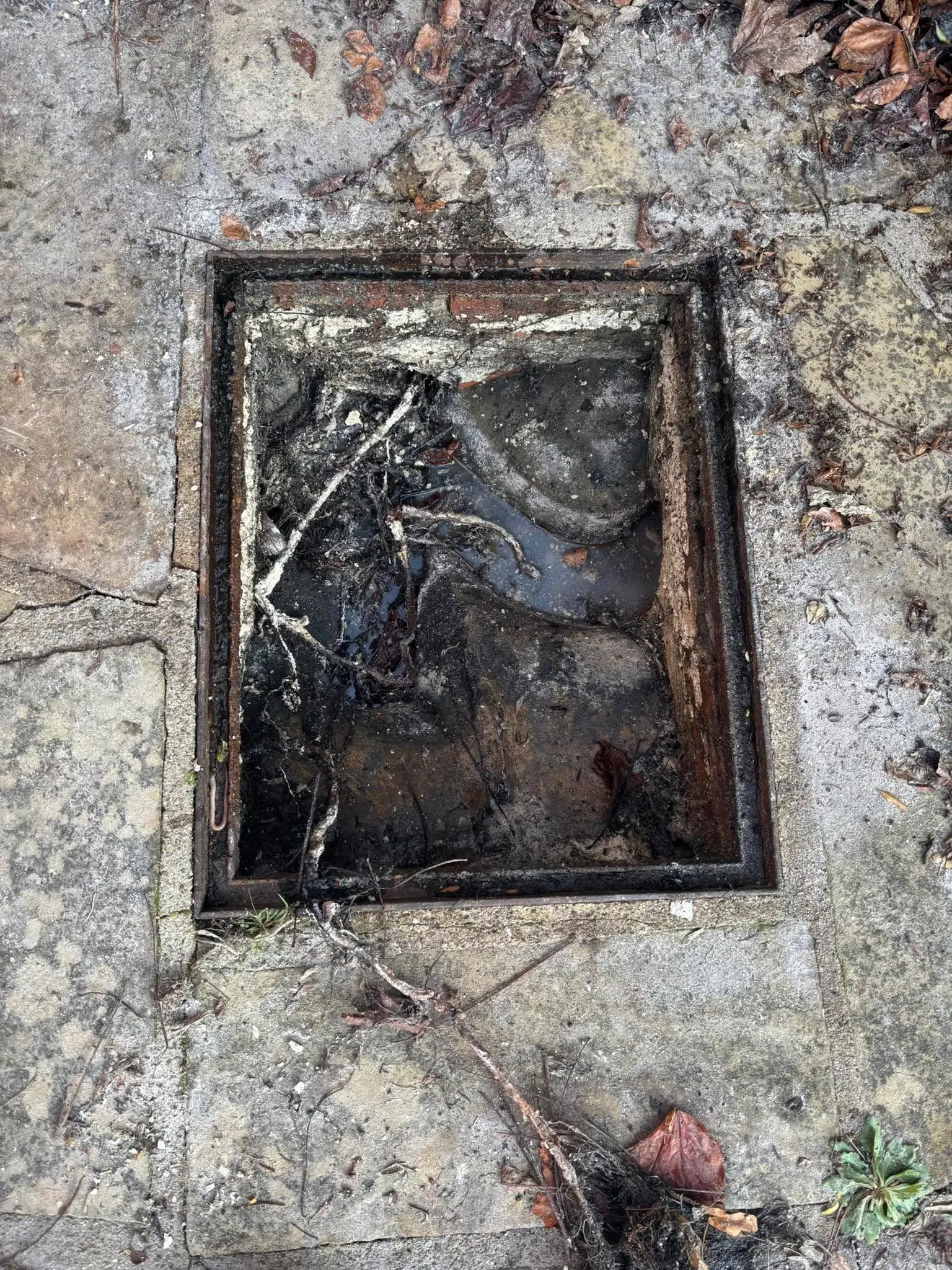 Image representing Blocked Drain Clearance service by Century Roofing and Building