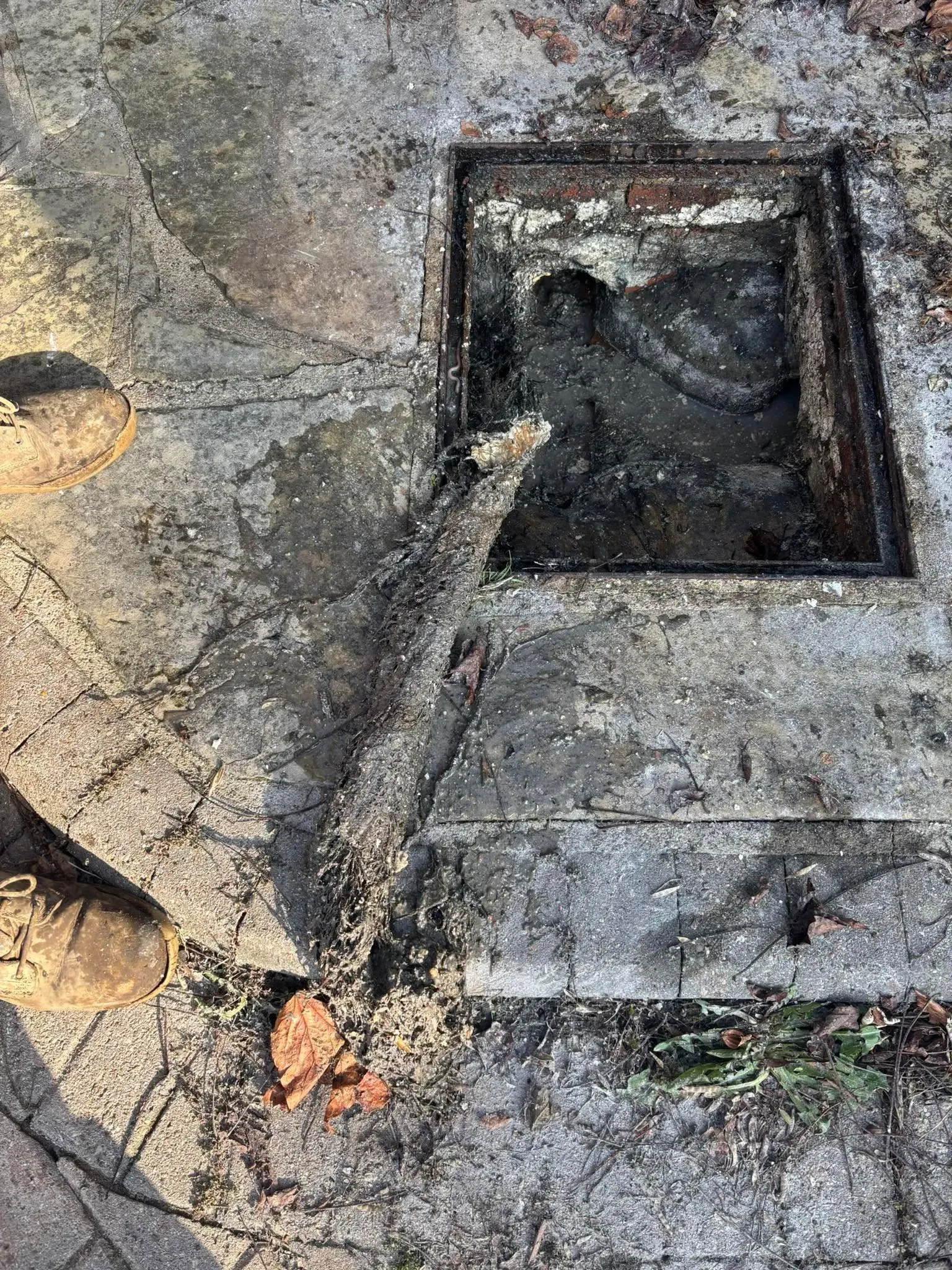 Drainage